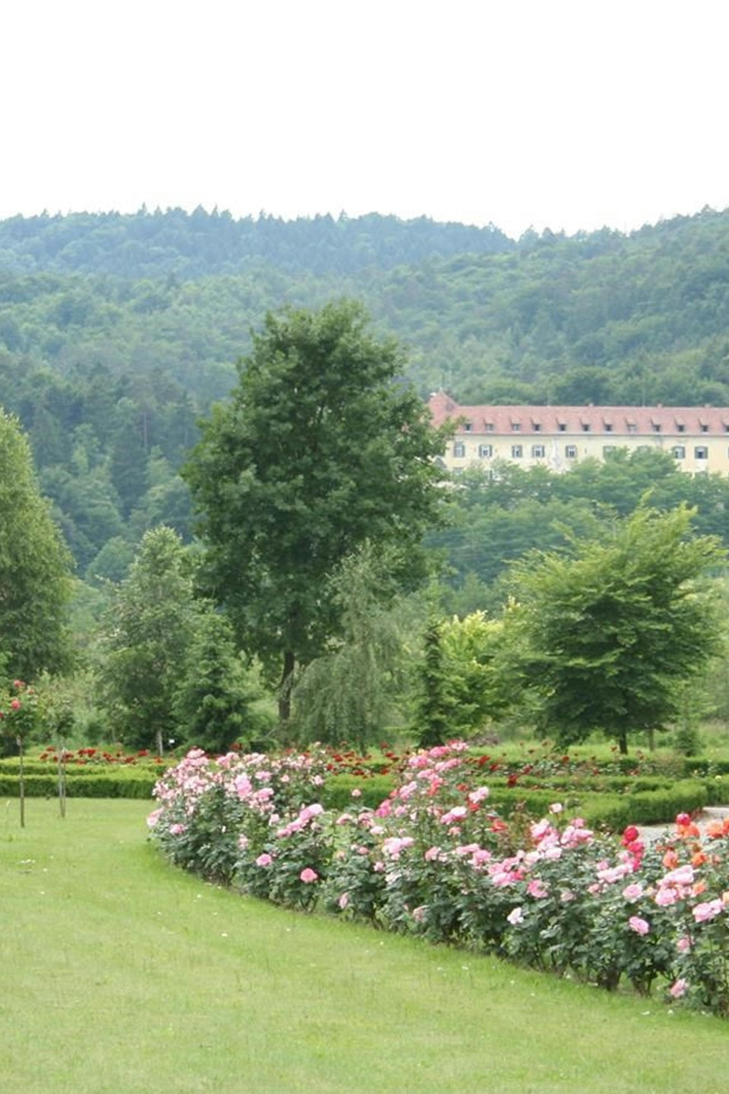 Botanical Garden